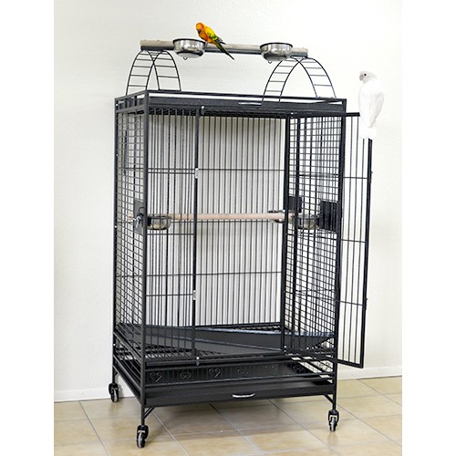 Large Play-top cage
